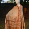 Multicolor Ethnic Printed Shawl with Cultural Motifs - Image 4