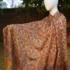 Floral Printed Shawl with Paisley and Striped Border - Image 3