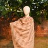 Embroidered Cashmere Shawl with Paisley Motifs - Image 2