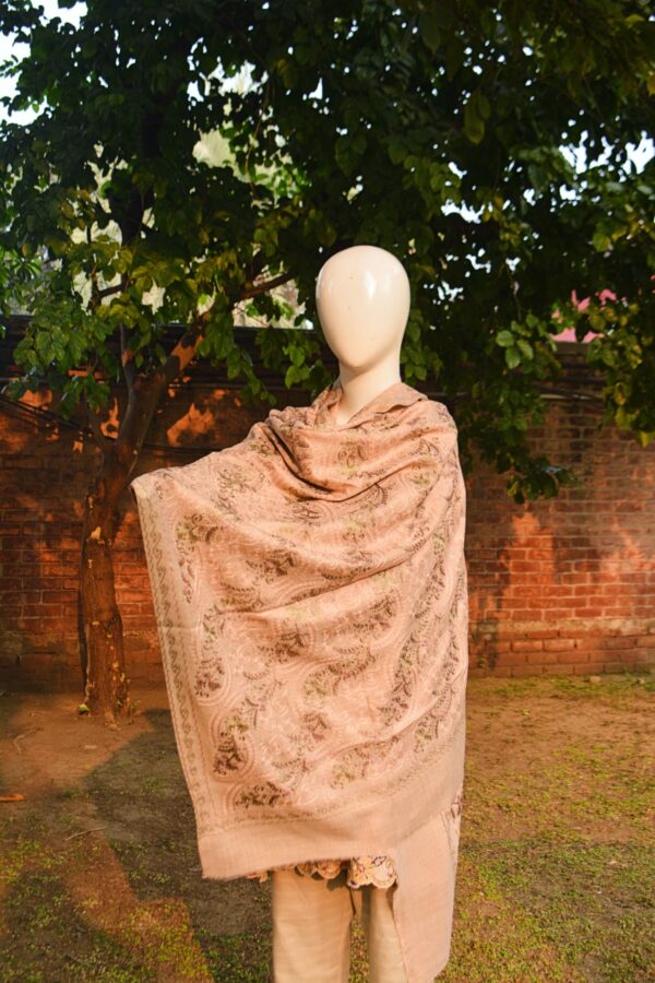 Embroidered Cashmere Shawl with Paisley Motifs - Image 2